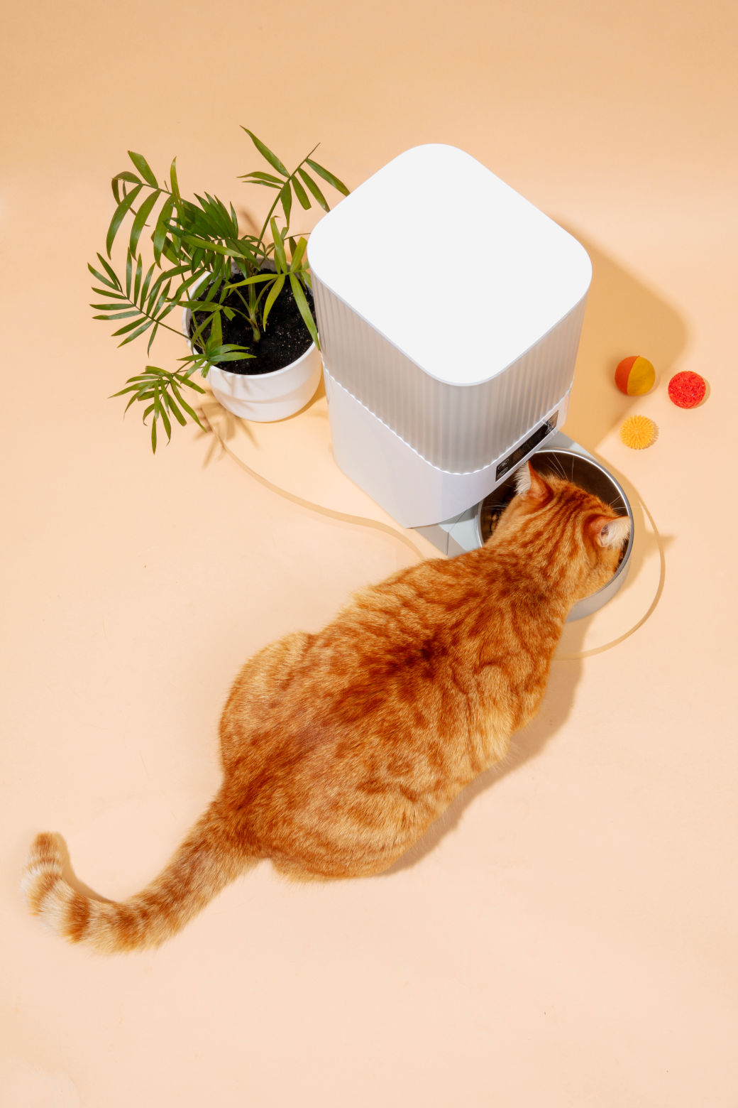 The Role of Technology and Innovation in Pet Care and Entertainment