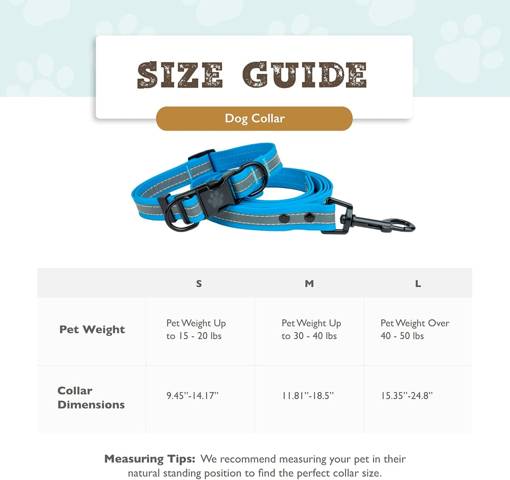 Pet Collection Reflective Dog Collar and Leash Set, Blue Dog Collar, Large