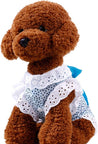 Girl Dog Pet Dress Cute Lace Skirt Dresses for Girl Cat Puppy Doggie Clothing for Party Costumes (XL, Blue)